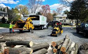 Farm Loop, AK Tree Services Company